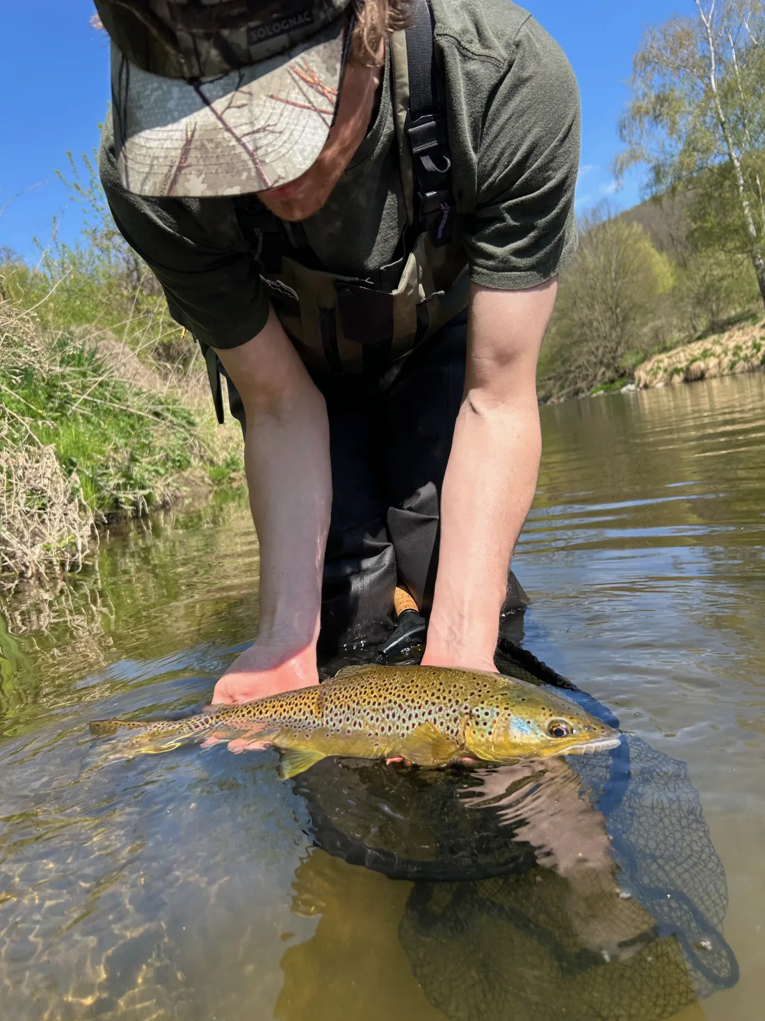 Fliegenfischer mit Bachforelle im flachen Wasser