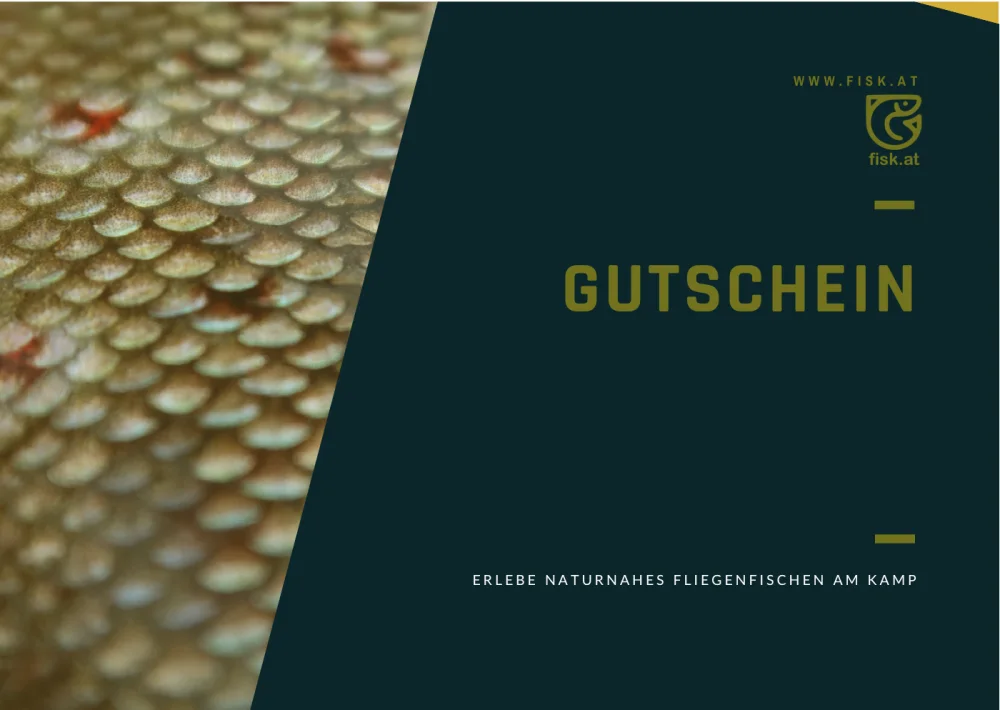 FISK Geschenkgutschein für naturnahes Fliegenfischen am Kamp