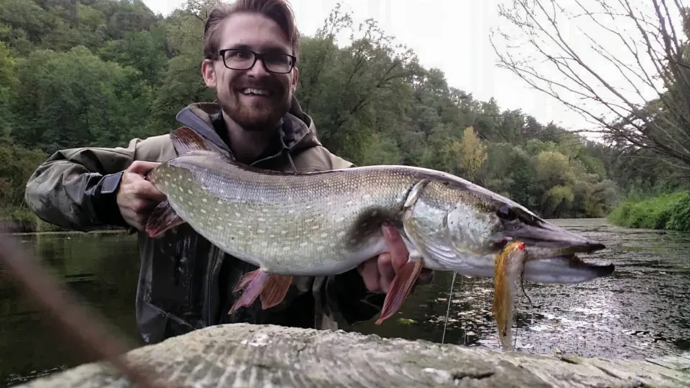 Fliegenfischer mit Hecht und Streamer am Wasser