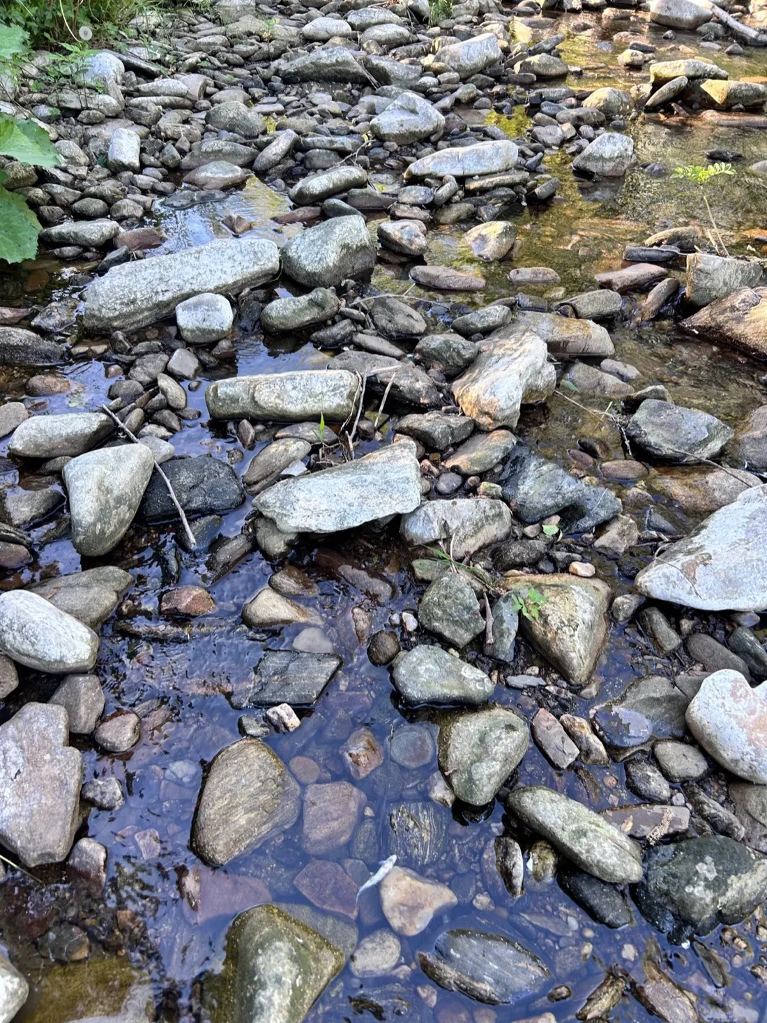 Flacher, steiniger Gewässerabschnitt bei niedrigem Wasserstand